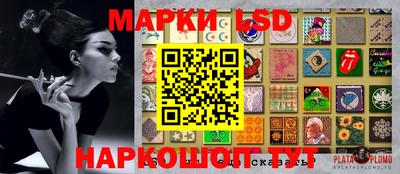 тгк Новозыбков
