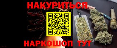 тгк Новозыбков