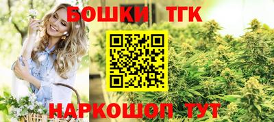 тгк Новозыбков