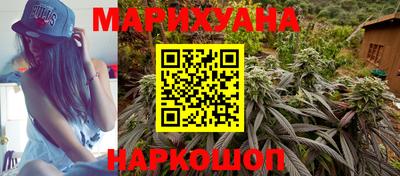 тгк Новозыбков