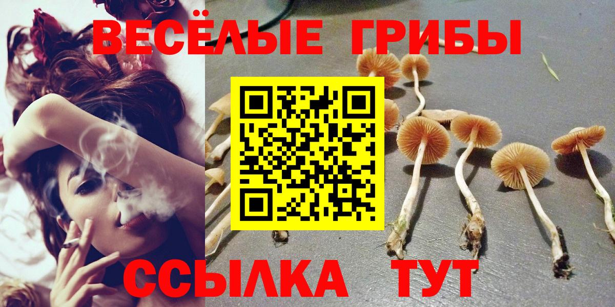 Галлюциногенные грибы MAGIC MUSHROOMS  Псилоцибиновые грибы Psilocybine cubensis  Тында  Вход с VPN 