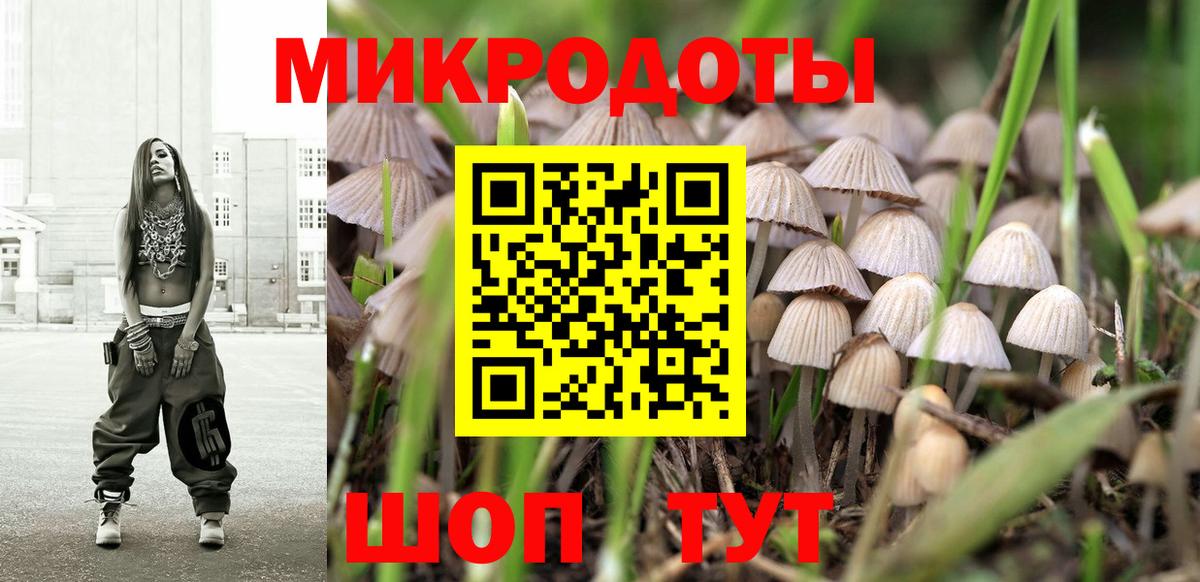 Галлюциногенные грибы MAGIC MUSHROOMS  даркнет сайт  Тында 