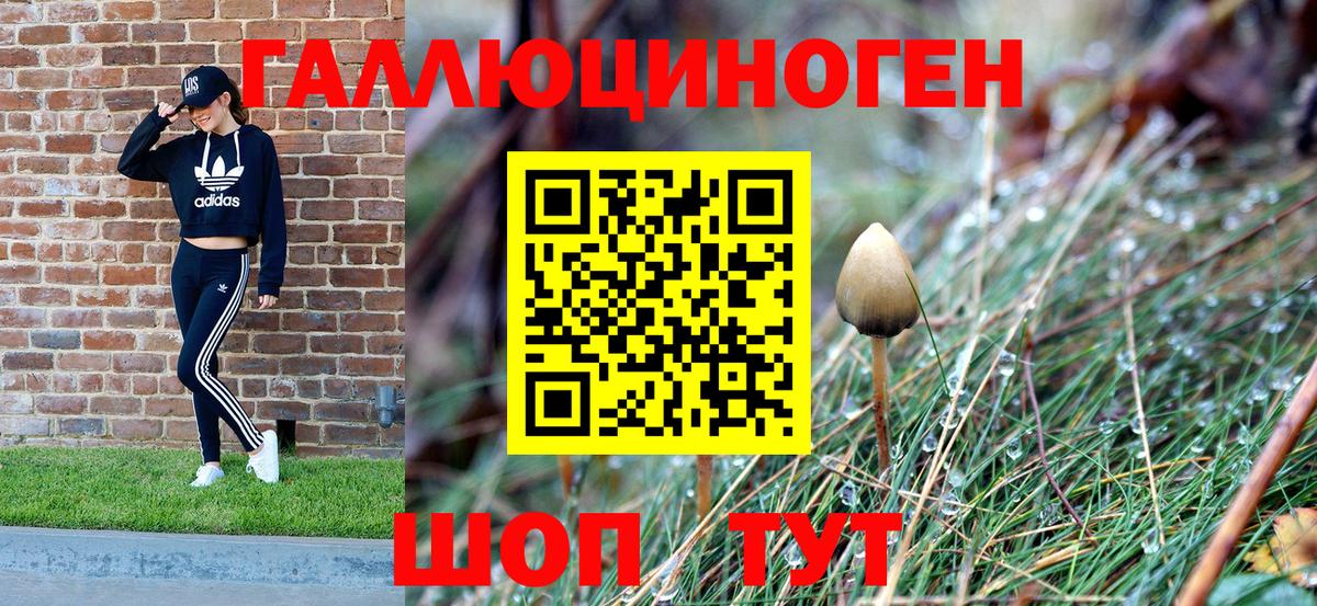Галлюциногенные грибы MAGIC MUSHROOMS Тында